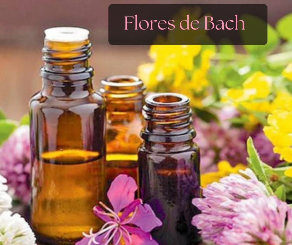 Terapia con Flores de Bach